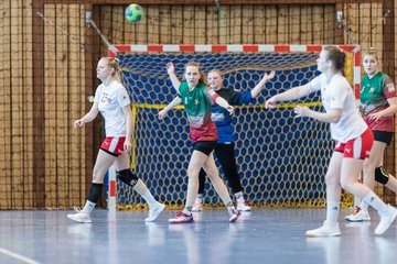 Bild 27 - F HSG Kremperheide/Muensterdorf - Slesvig IF 2 : Ergebnis: 30:26